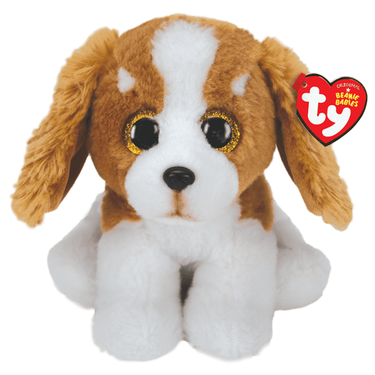 Barker Brown And White Dog
