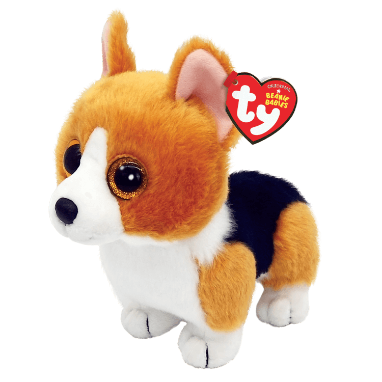 Colin Corgi Dog