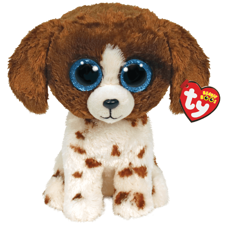 Muddles Brown And White Dog