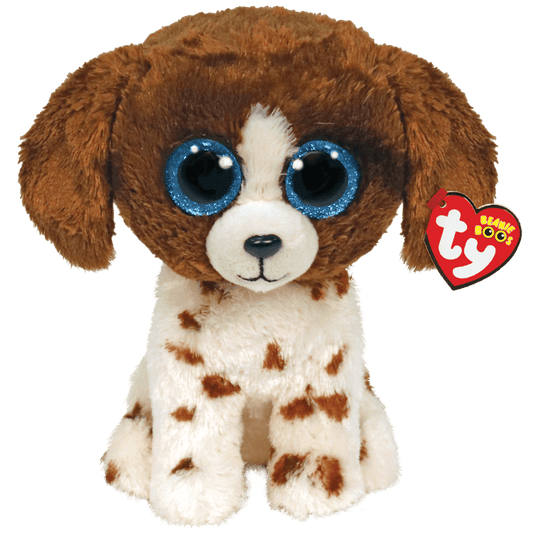 Muddles Brown And White Dog