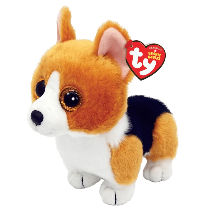 Colin Corgi Dog
